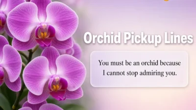 Orchid Pickup Lines
